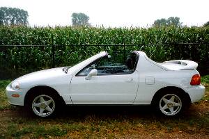 Picture submitted by Paul Wijlaars
